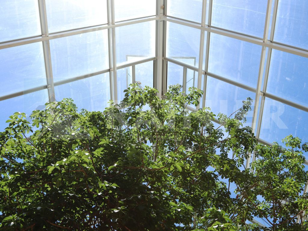 Dán phim cách nhiệt mái kính chống nắng nóng cho nhà ở và công trình kính