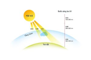 Minh họa tác động của tia UV