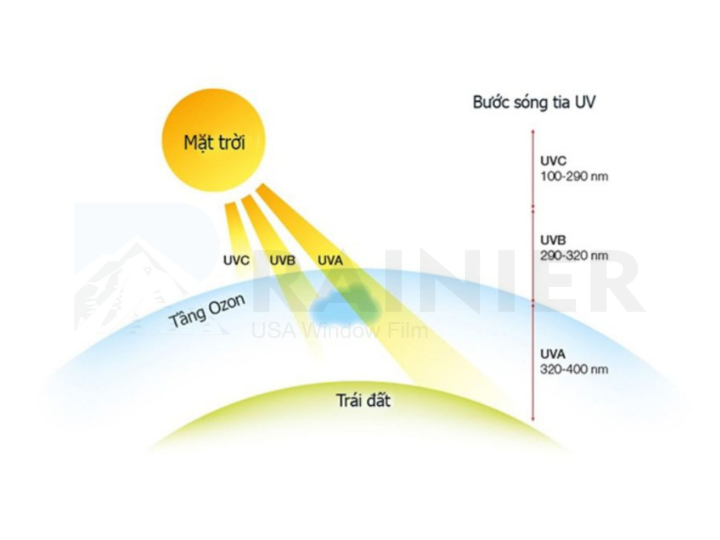 Tìm hiểu tác động và độ nguy hại của tia UV qua từng bước sóng Minh họa tác động của tia UV