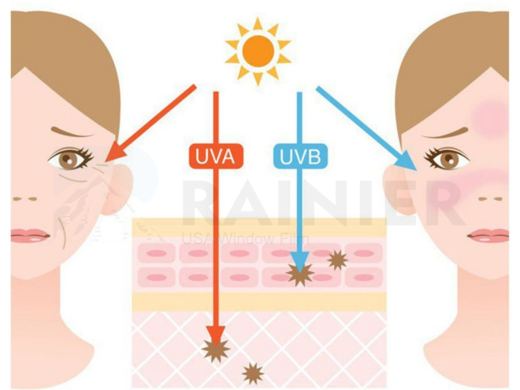 Tác động của tia UV lên slàn da và sức khỏe Ảnh hưởng nghiêm trọng của tia UV lên da