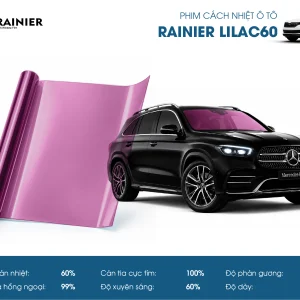 RAINIER LILAC 60