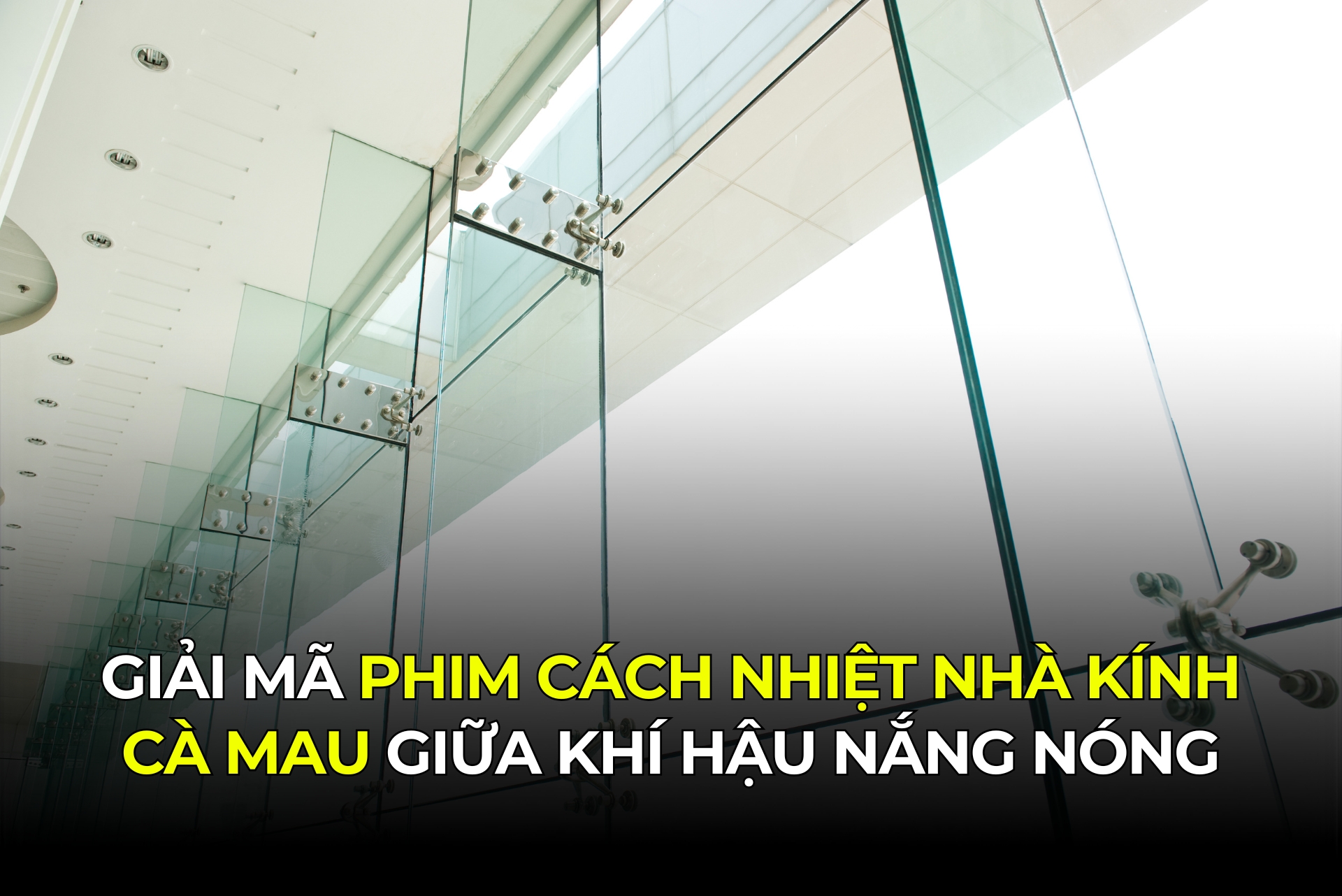 Giải Mã Phim Cách Nhiệt Nhà Kính Cà Mau Giữa Khí Hậu Nắng Nóng