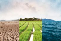 Tính chất thất thường của khí hậu Việt Nam